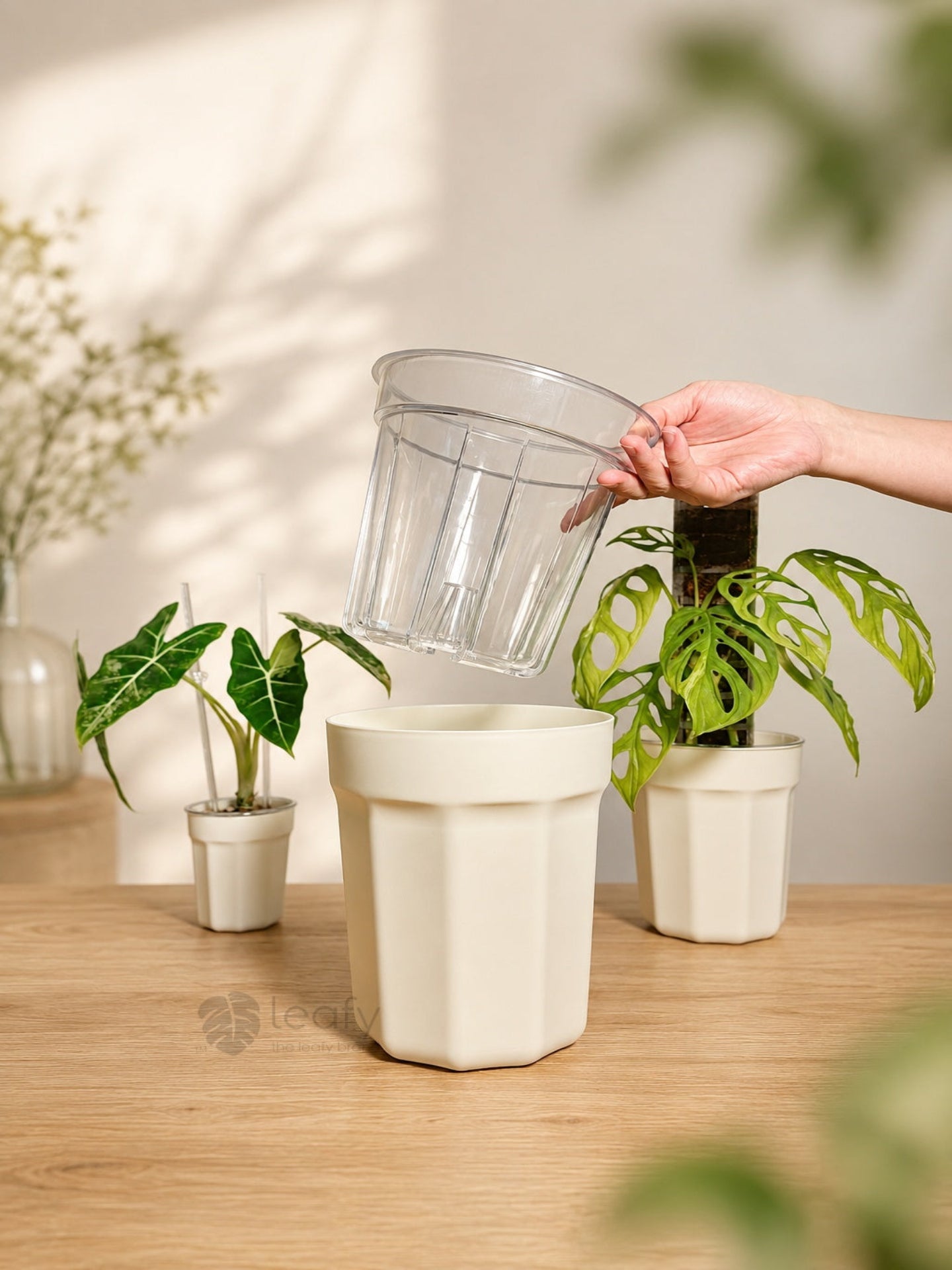 The Ultimate Clear Pot – Type II