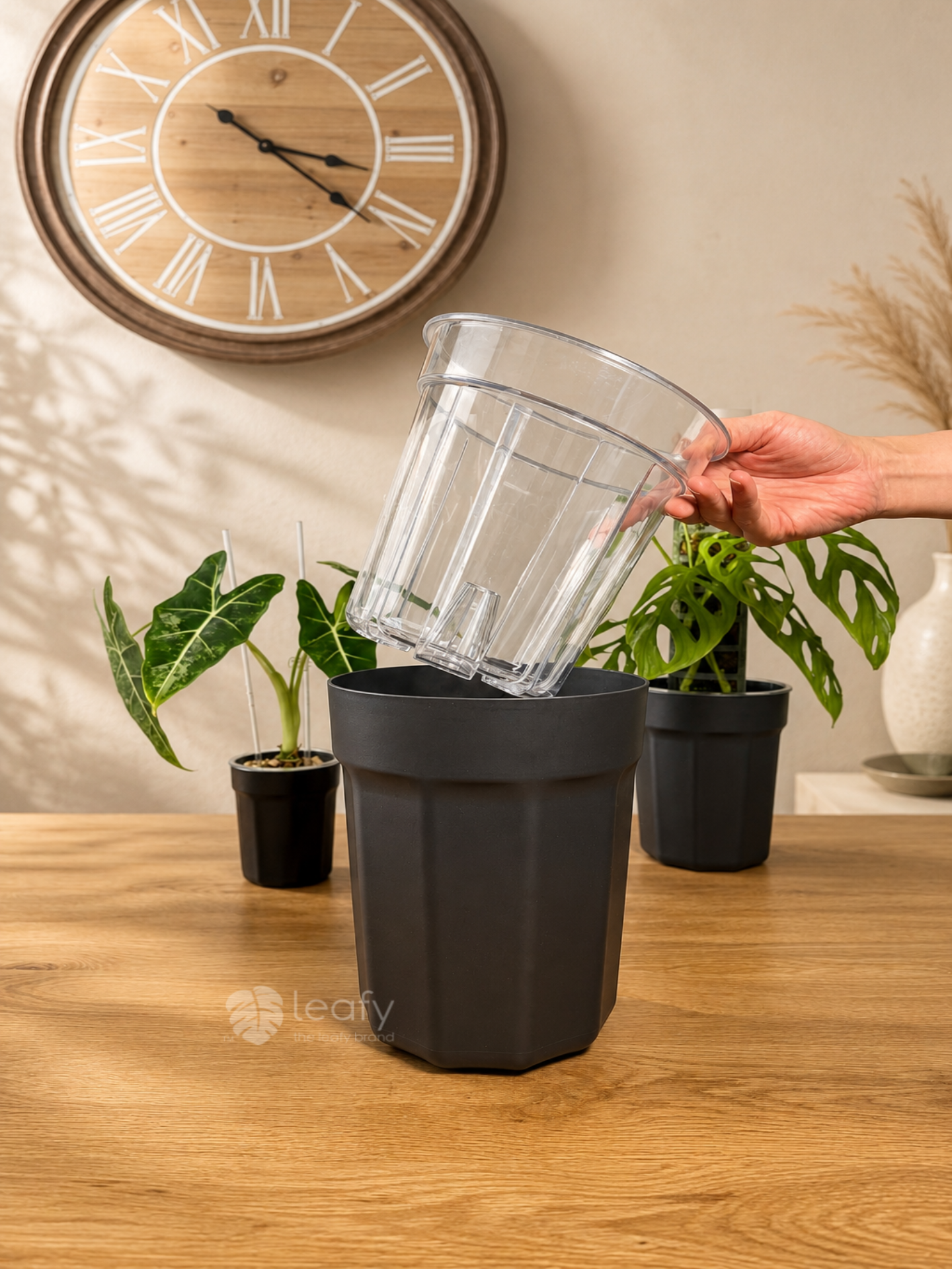 The Ultimate Clear Pot – Type II
