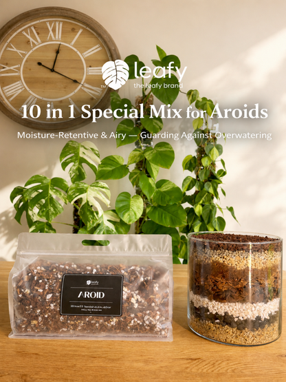 leafy™ Aroid 001 special Mix