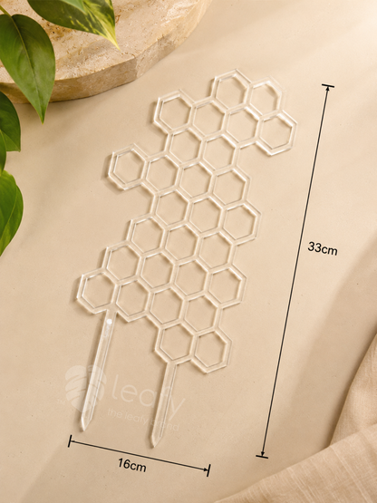 leafy™ Honeycomb Trellis