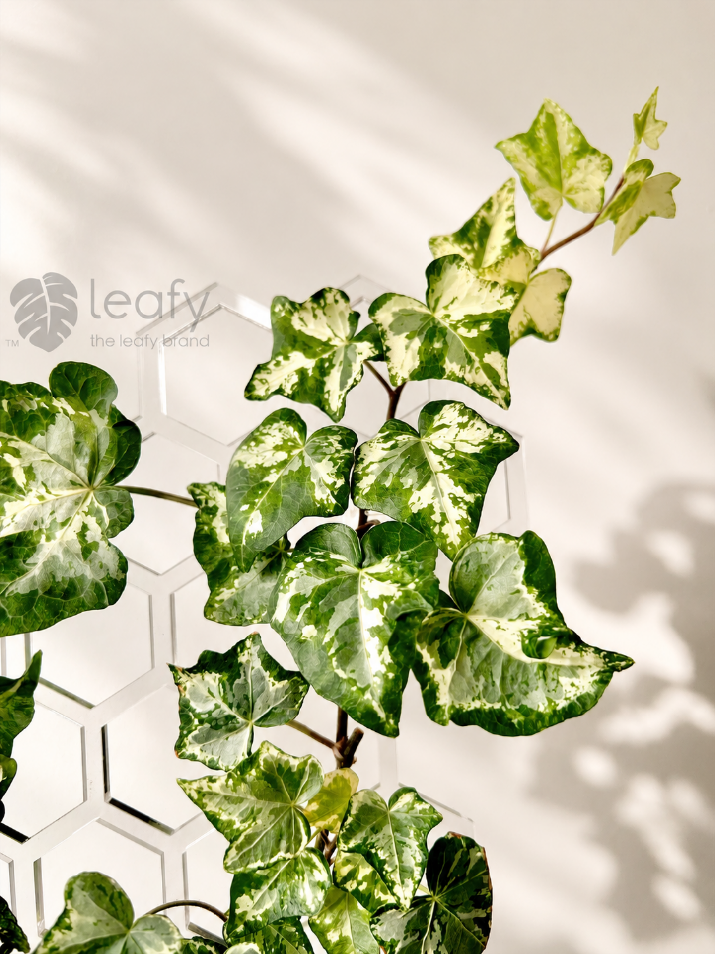leafy™ Honeycomb Trellis