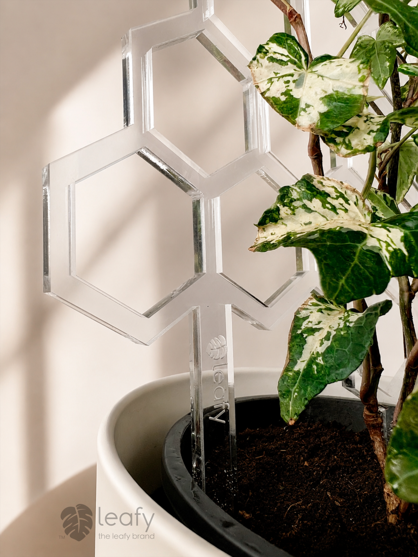 leafy™ Honeycomb Trellis