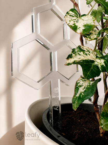 leafy™ Honeycomb Trellis