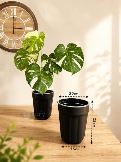 The Ultimate Clear Pot