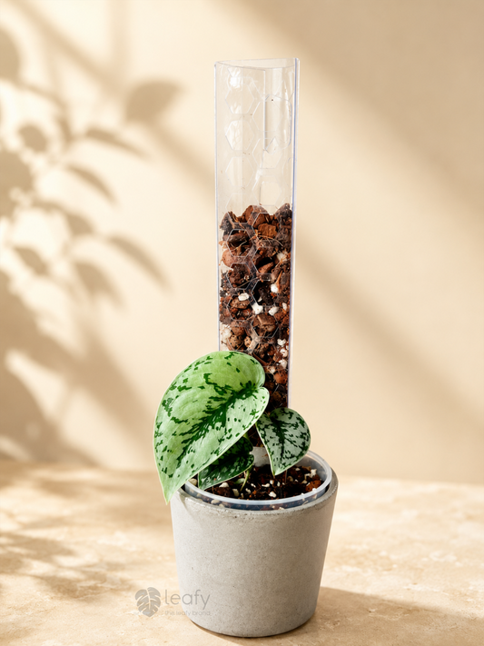 leafy™ Moss Pole 2.0 Honeycomb Mini