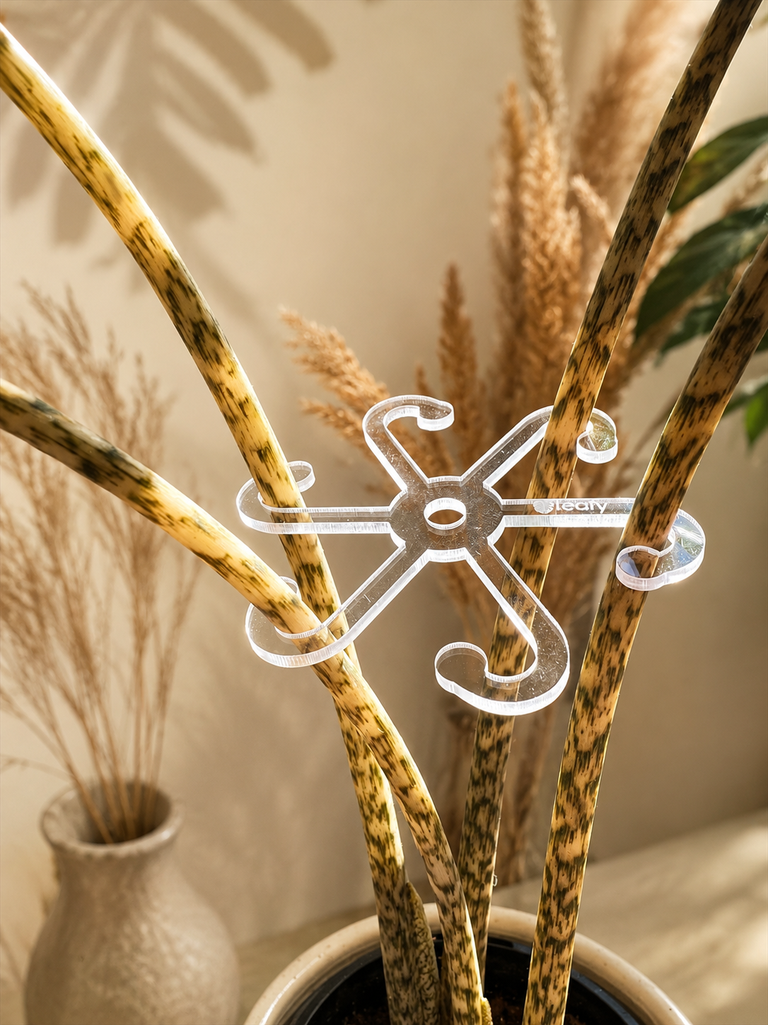 leafy™ Stem Support Hooks