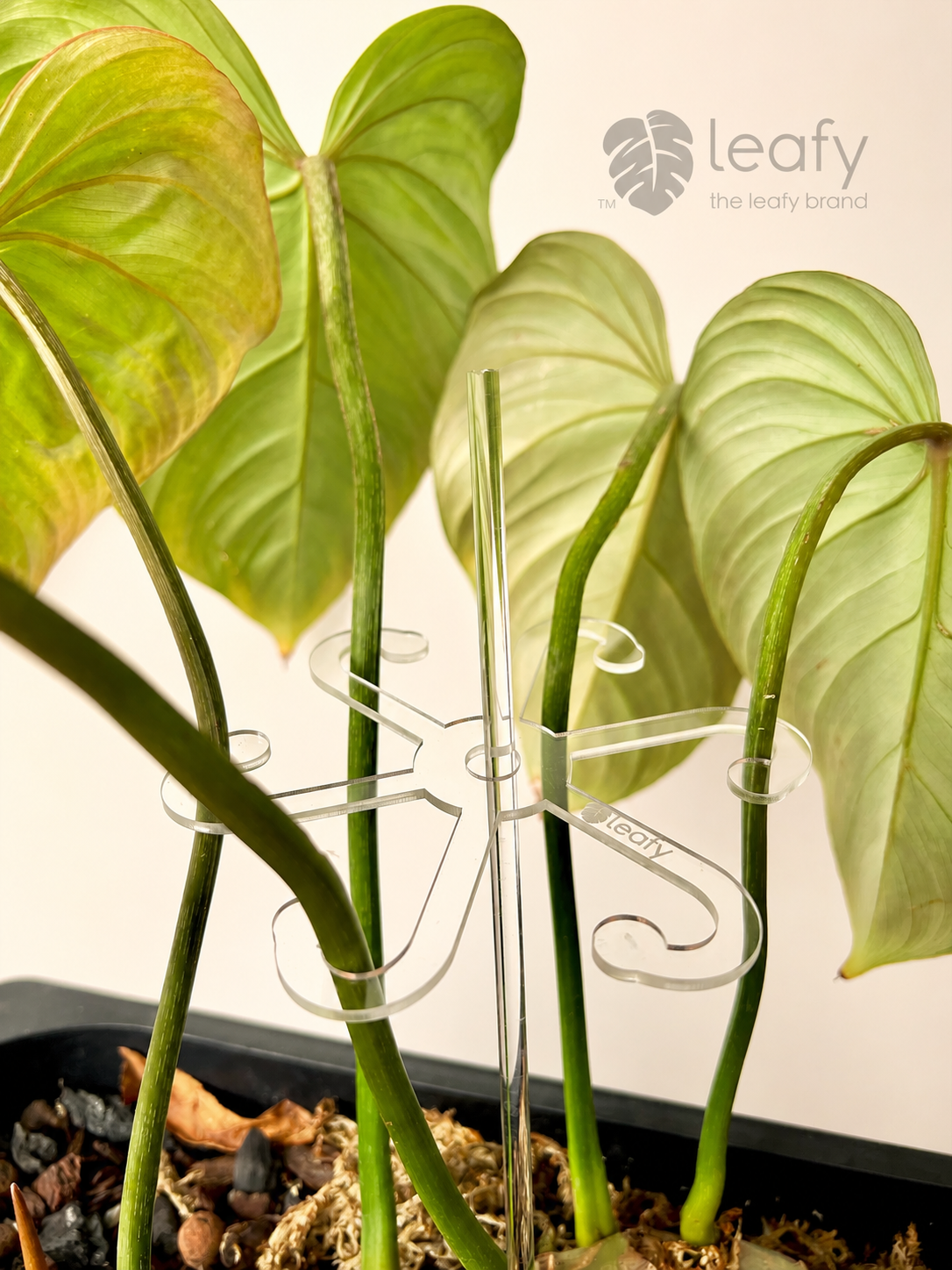 leafy™ Stem Support Hooks