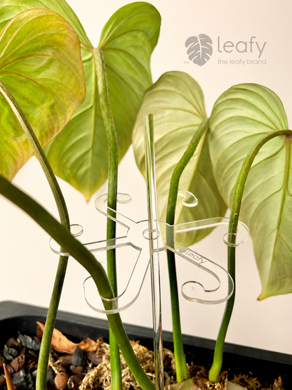 leafy™ Stem Support Hooks