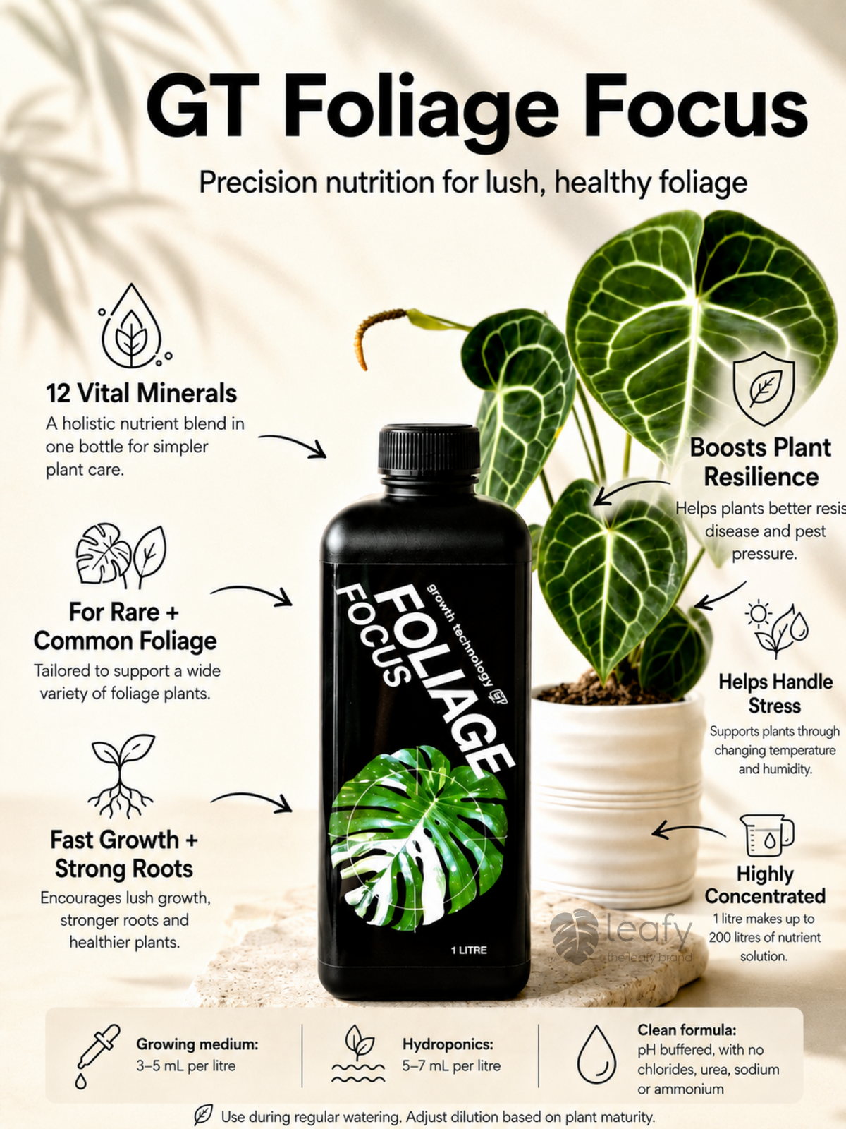 GT- Foliage Focus