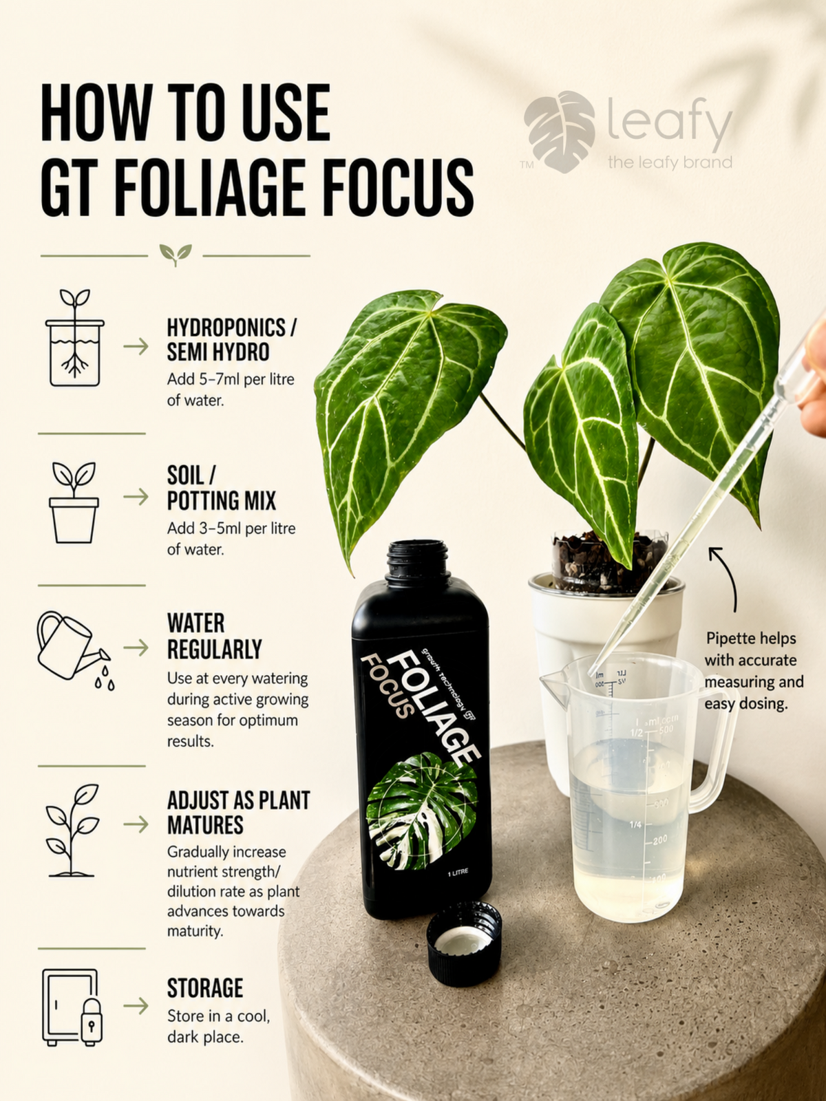 GT- Foliage Focus