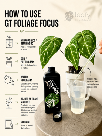 GT- Foliage Focus