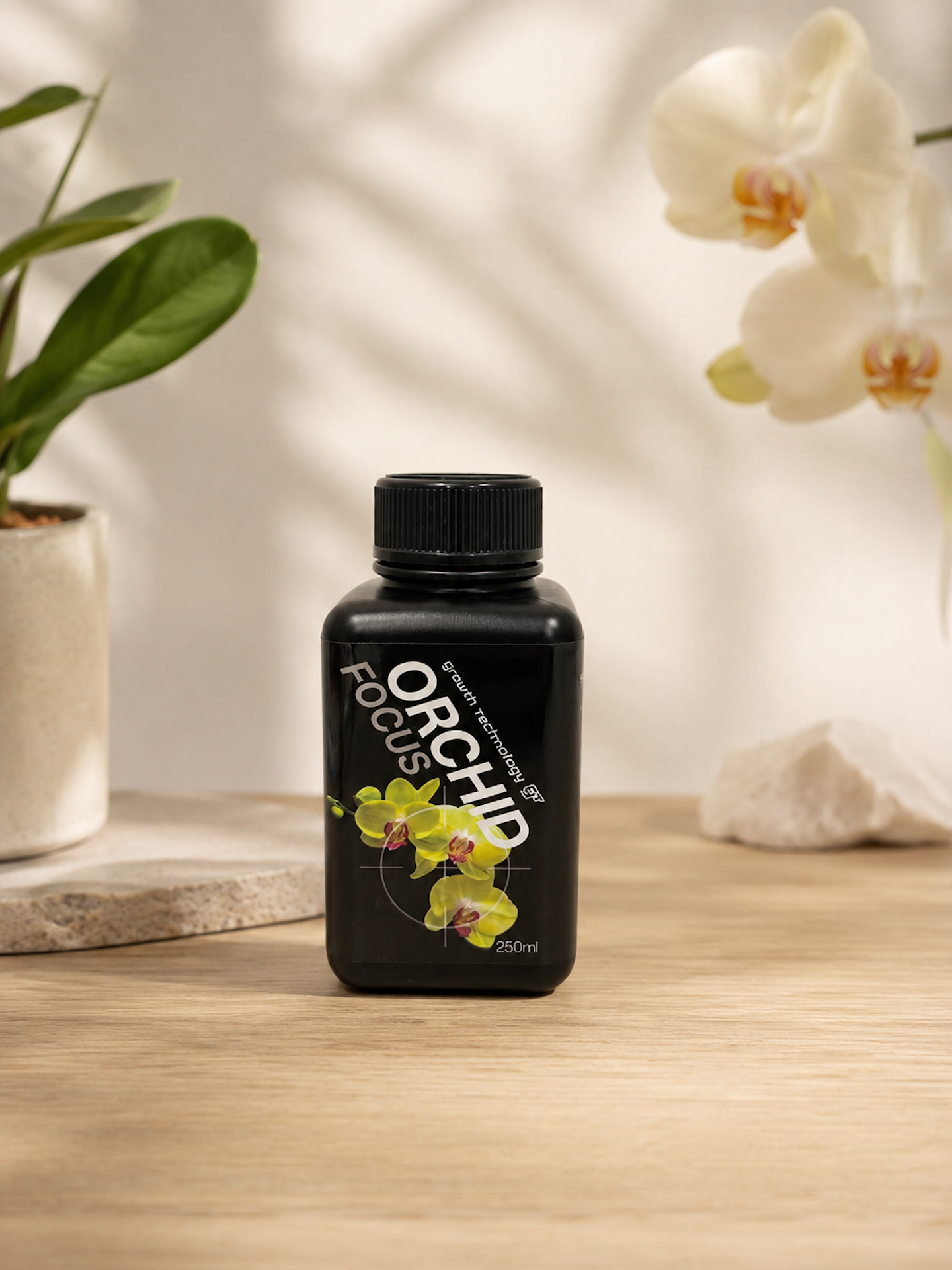 GT - Orchid Focus