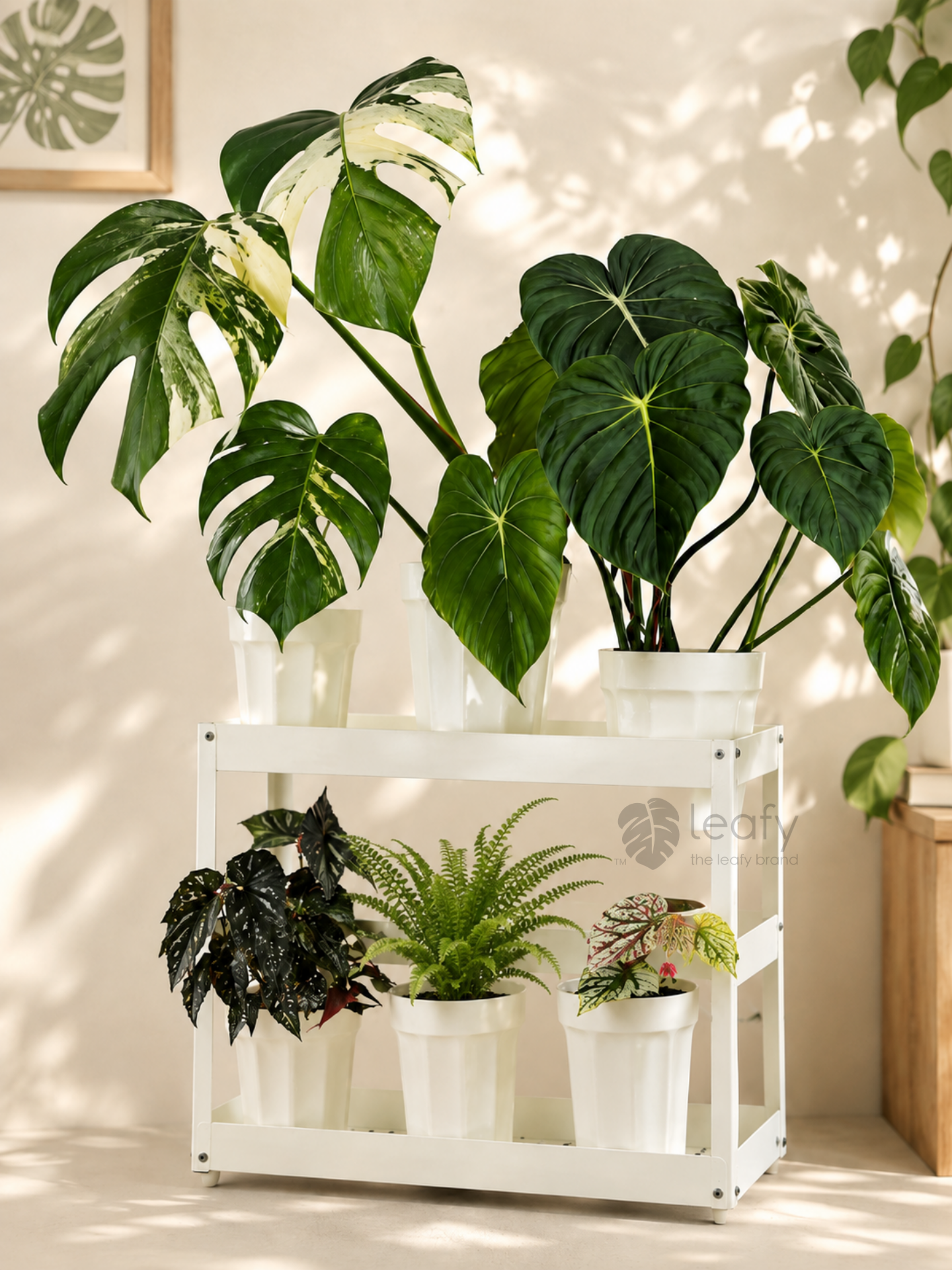The Ultimate Clear Pot – Type II