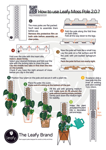 How to use leafy moss pole 2.0