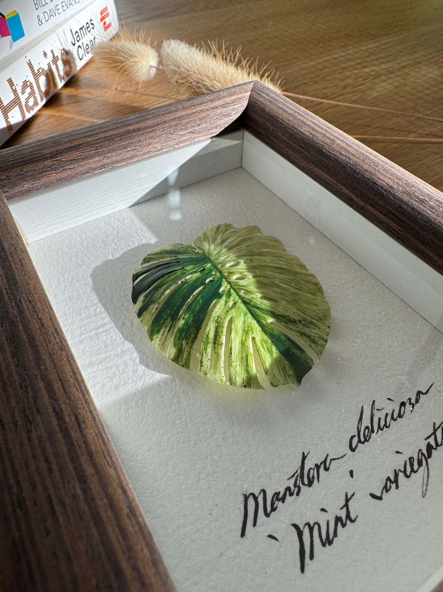 Monstera Deliciosa Mint Varigated Specimen miniatures [Limited]