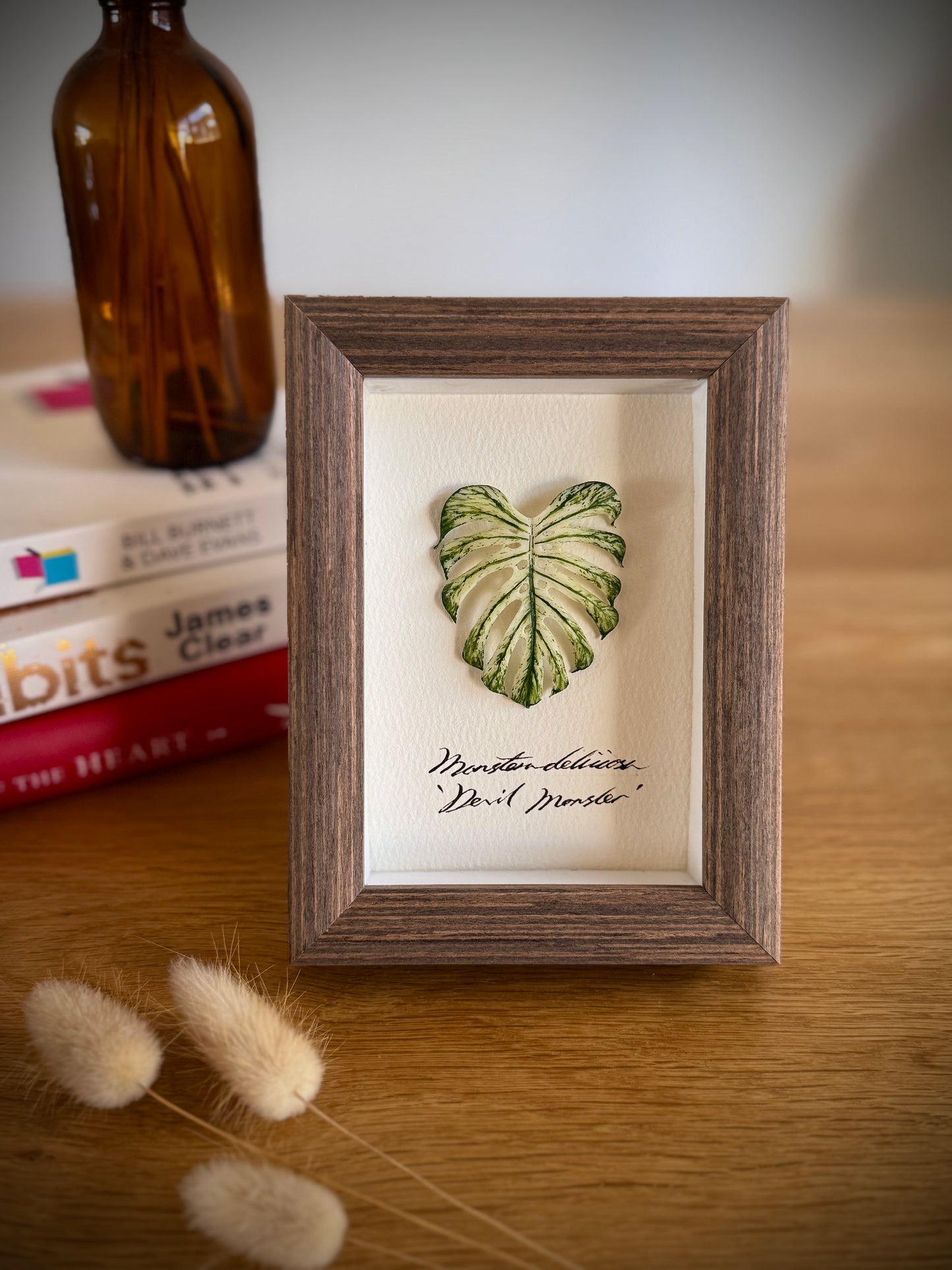 Monstera Deliciosa Devil Monster specimen miniatures [Limited]