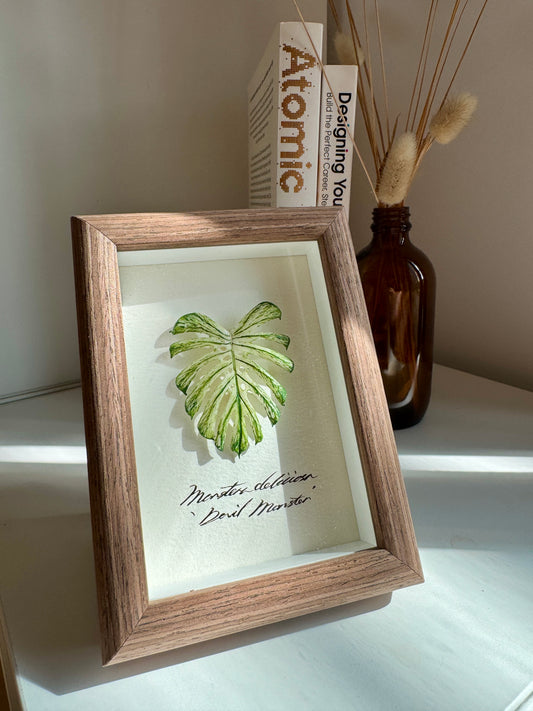 Monstera Deliciosa Devil Monster specimen miniatures [Limited]