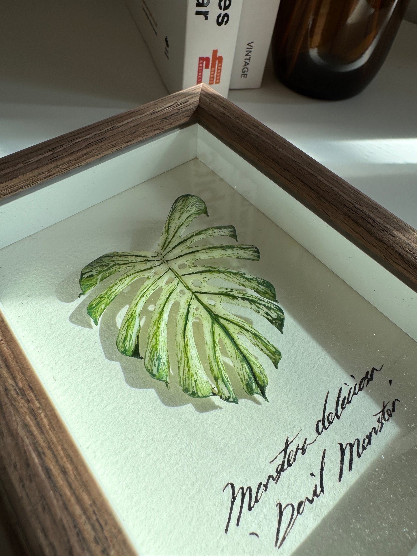 Monstera Deliciosa Devil Monster specimen miniatures [Limited]