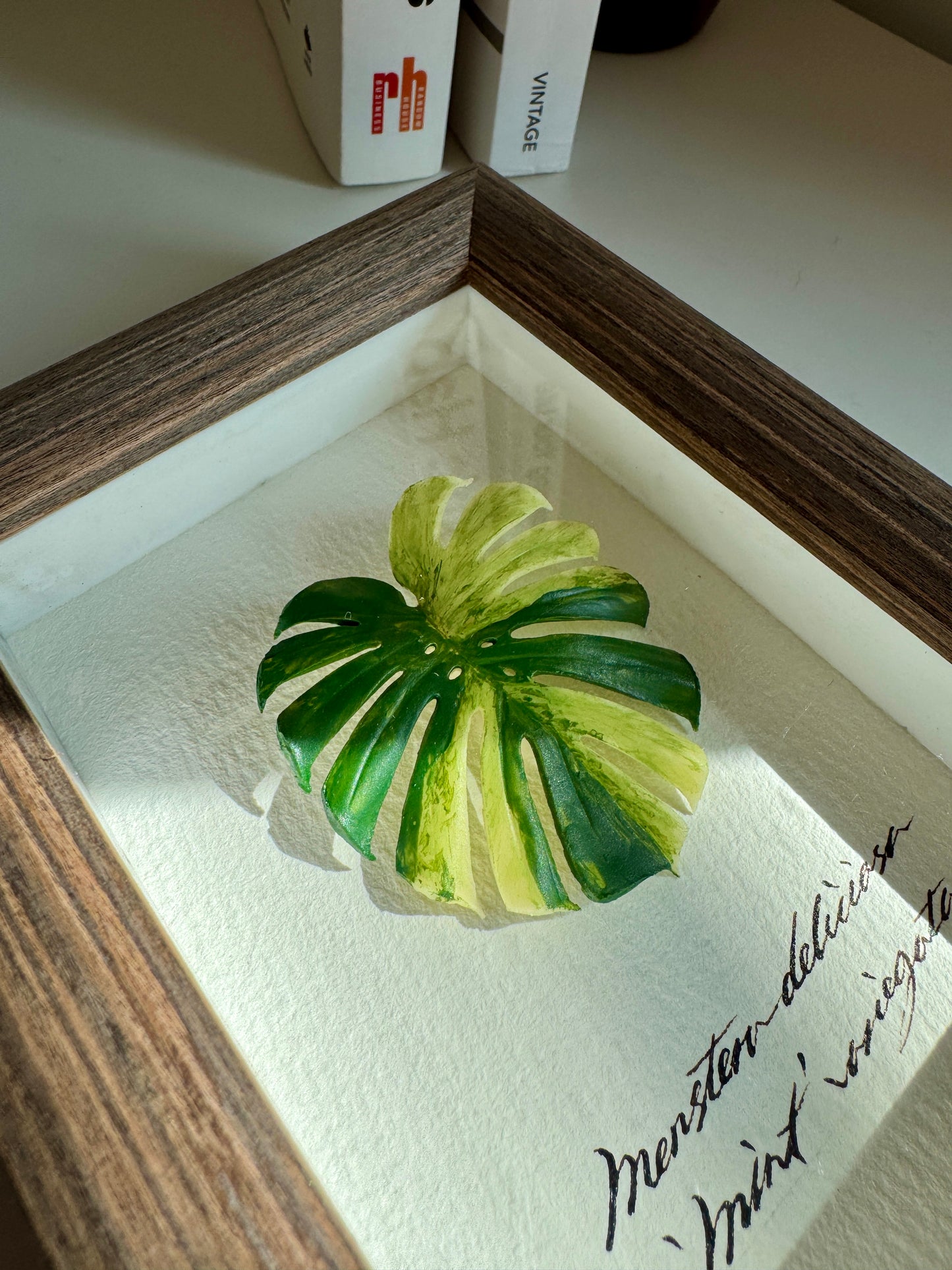 Monstera Deliciosa Mint Varigated Specimen miniatures [Limited]