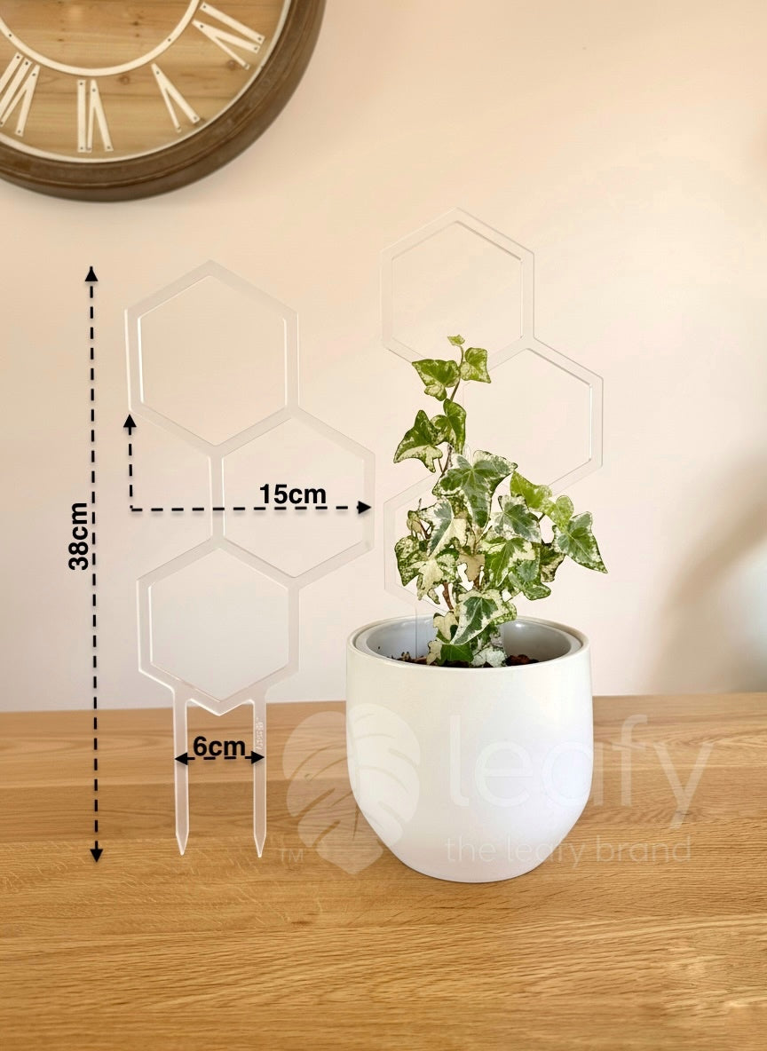 leafy™ Honeycomb Trellis - Type II