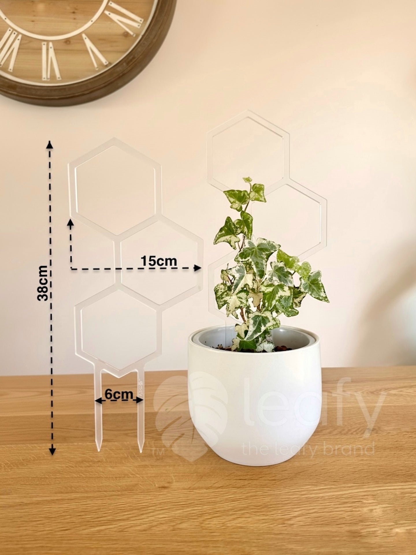 leafy™ Honeycomb Trellis - Type II