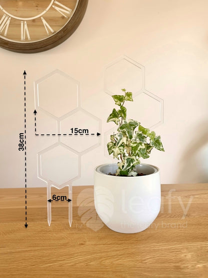 leafy™ Honeycomb Trellis - Type II