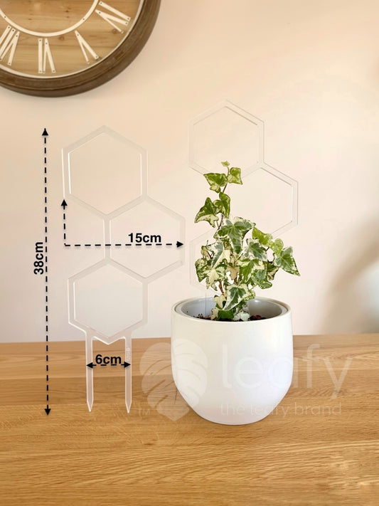 leafy™ Honeycomb Trellis - Type II