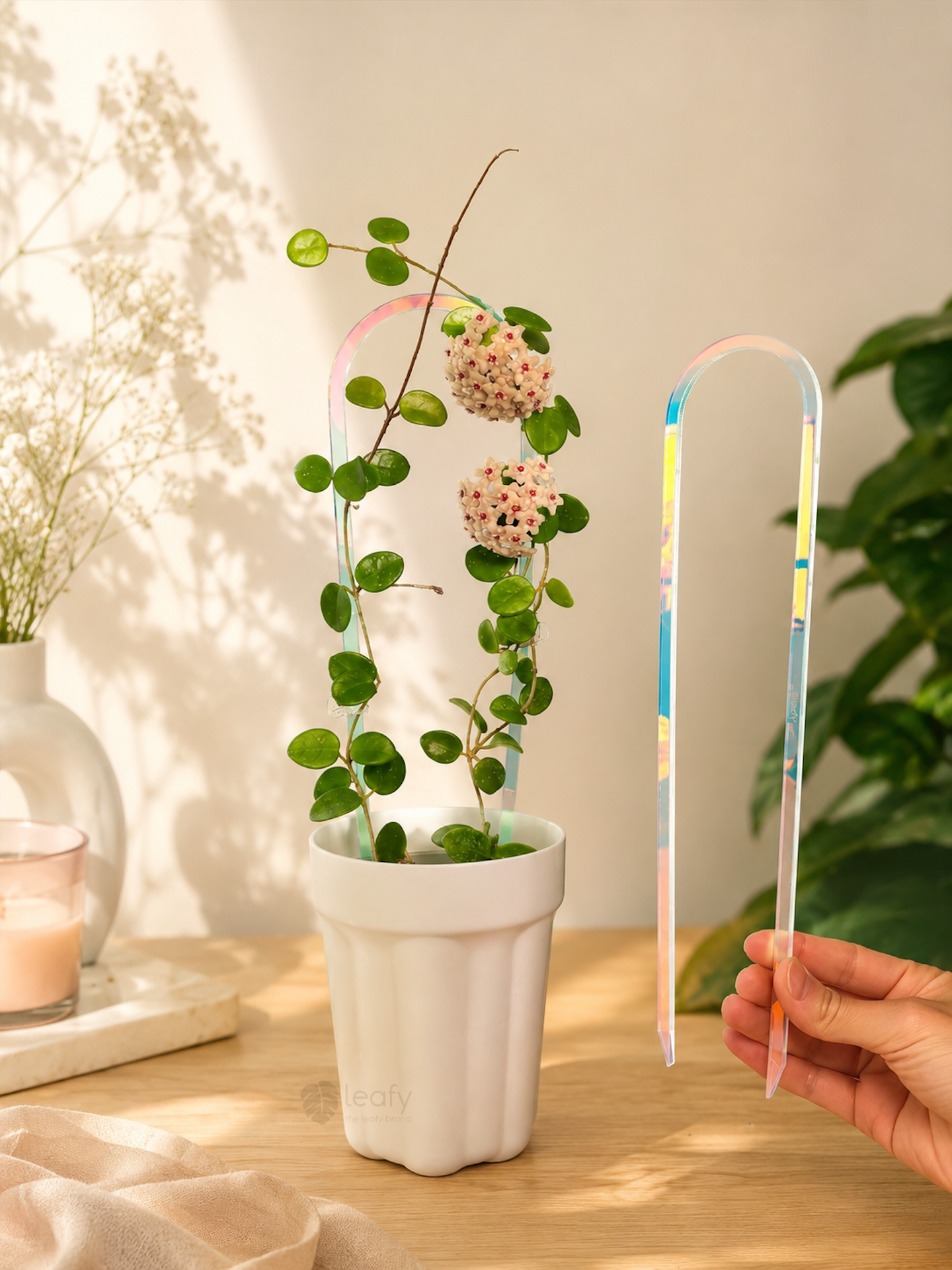leafy™ Acrylic arch trellis