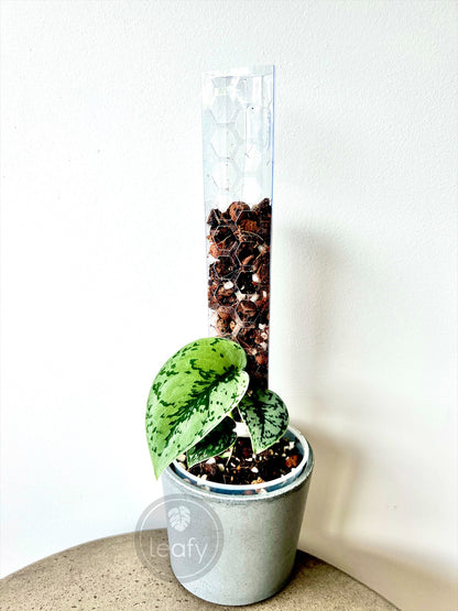 leafy™ Moss Pole 2.0 Honeycomb Mini (NEW)