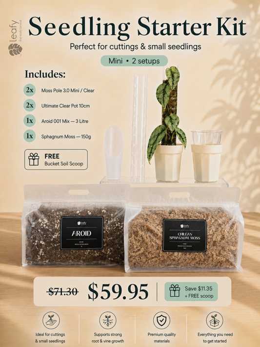leafy™ Moss Pole Grow Kit — Seedling Starter. 2× Moss Pole 3.0 Mini with Ultimate Clear Pot 10cm, Aroid Mix and Sphagnum Moss