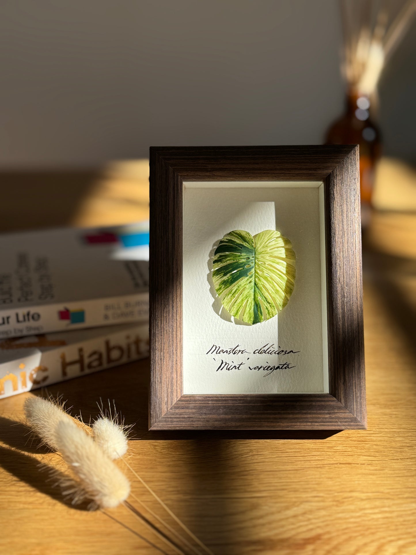 Monstera Deliciosa Mint Varigated Specimen miniatures [Limited]