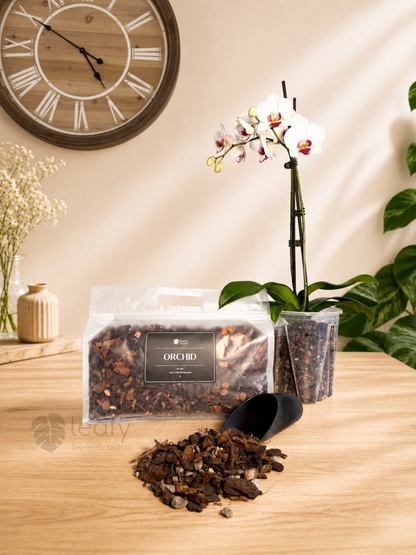 leafy™ Orchid - 006 Light & airy Orchid Blend