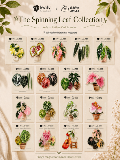 The Spinning Leaf Collection Fridge Magnets