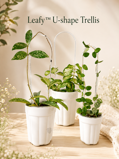leafy™ U-shape Trellis