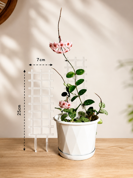 leafy™ Acrylic Grid Trellis