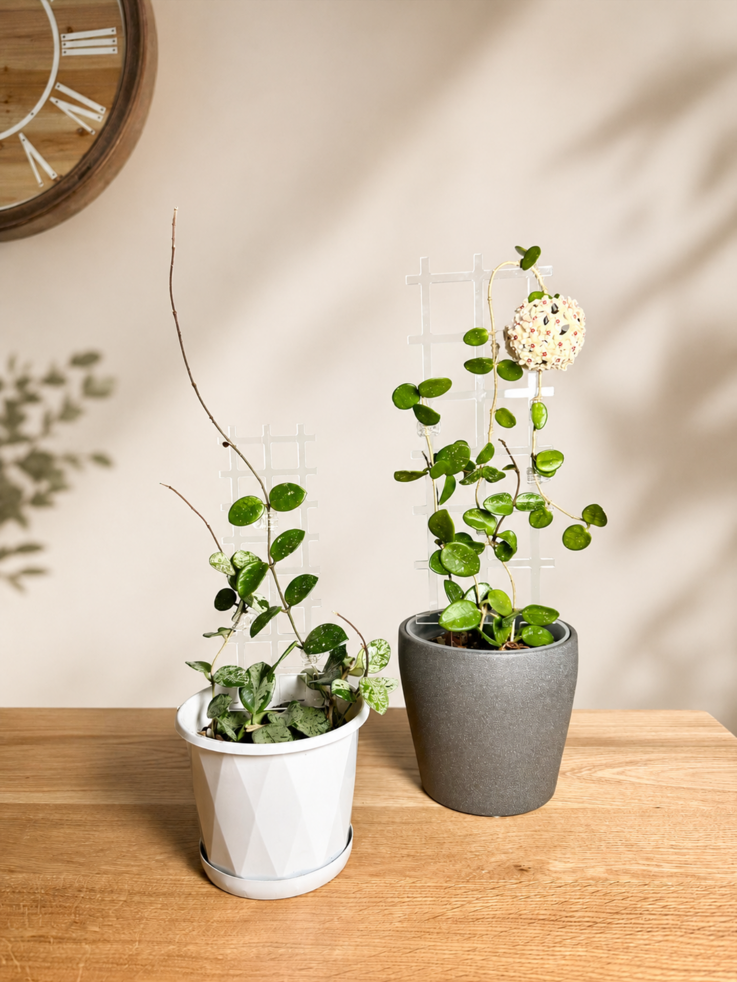 leafy™ Acrylic Grid Trellis