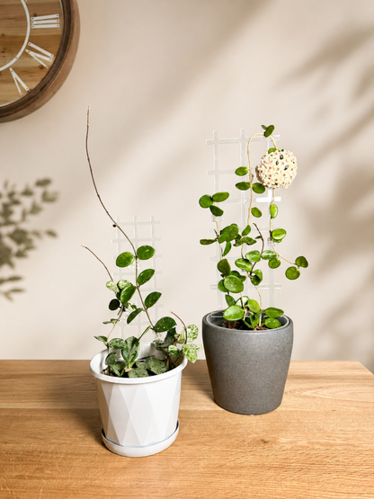 leafy™ Acrylic Grid Trellis