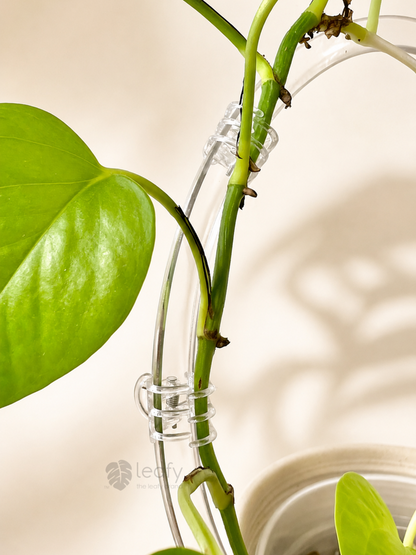 Clear plant clips