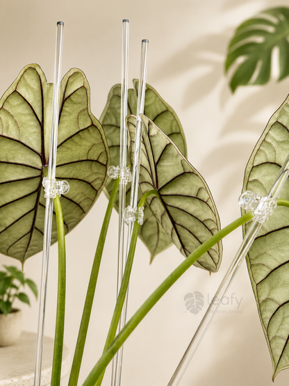 Clear plant clips