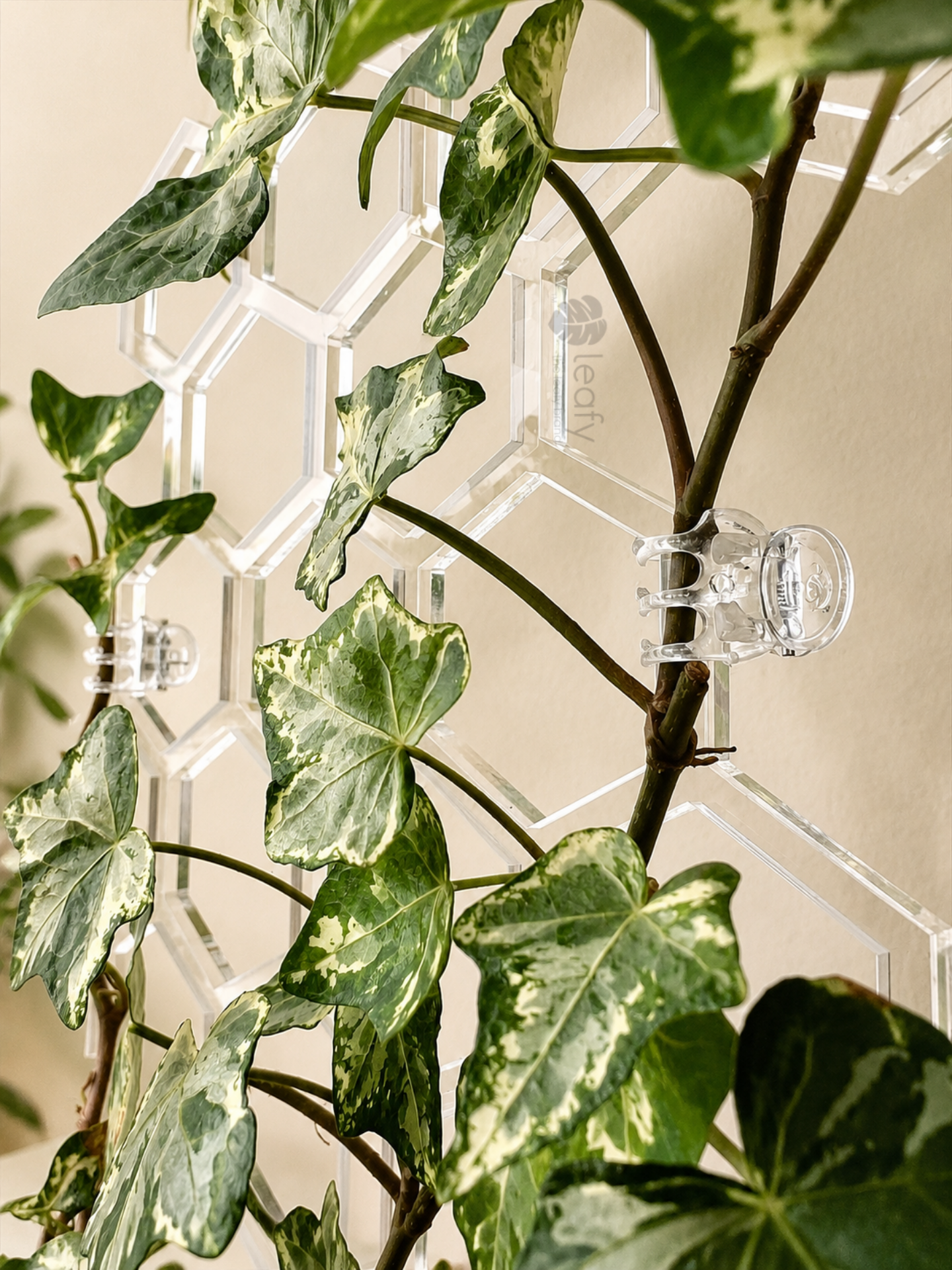Clear plant clips
