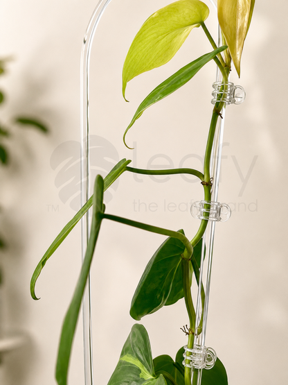 Clear plant clips