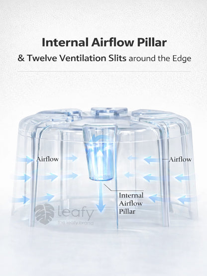The Ultimate Clear Pot