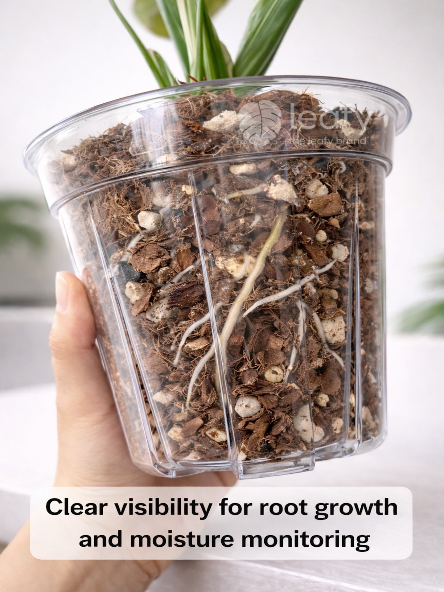 Leafy™ Crystal Clear Pot