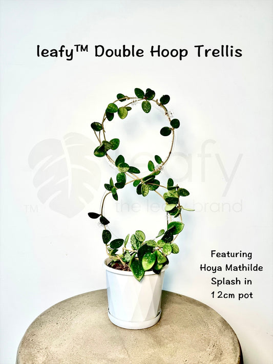 Leafy™ Double Hoop Trellis