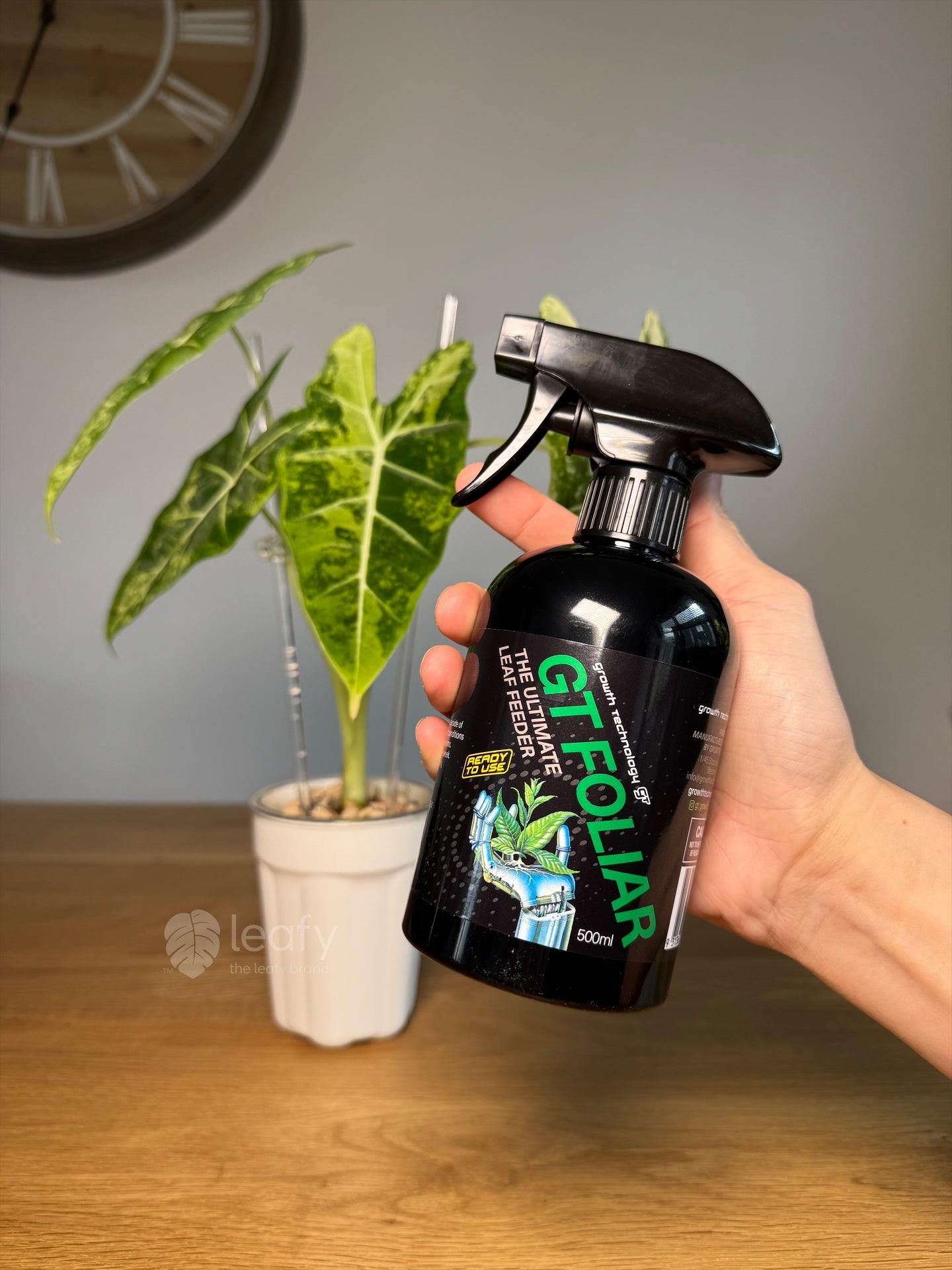 GT - Foliar Spray