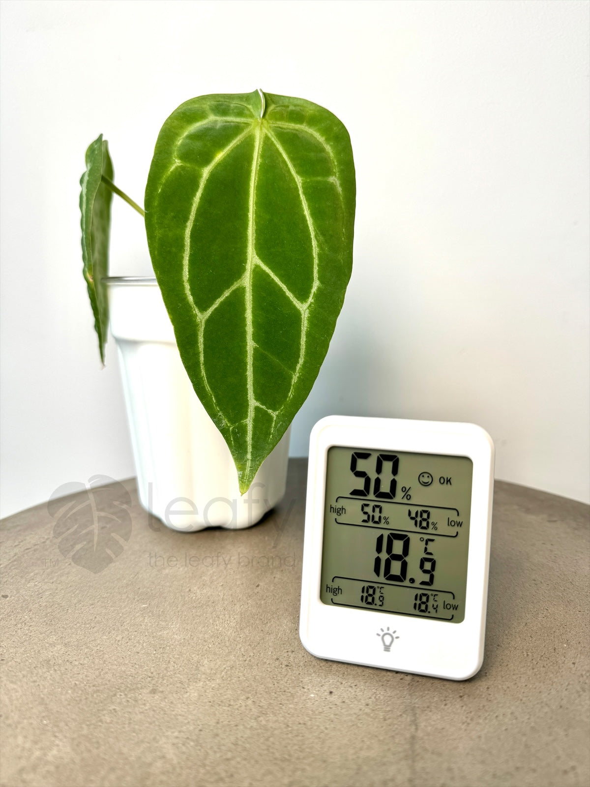 leafy™ Digital Indoor Temperature & Humidity Meter