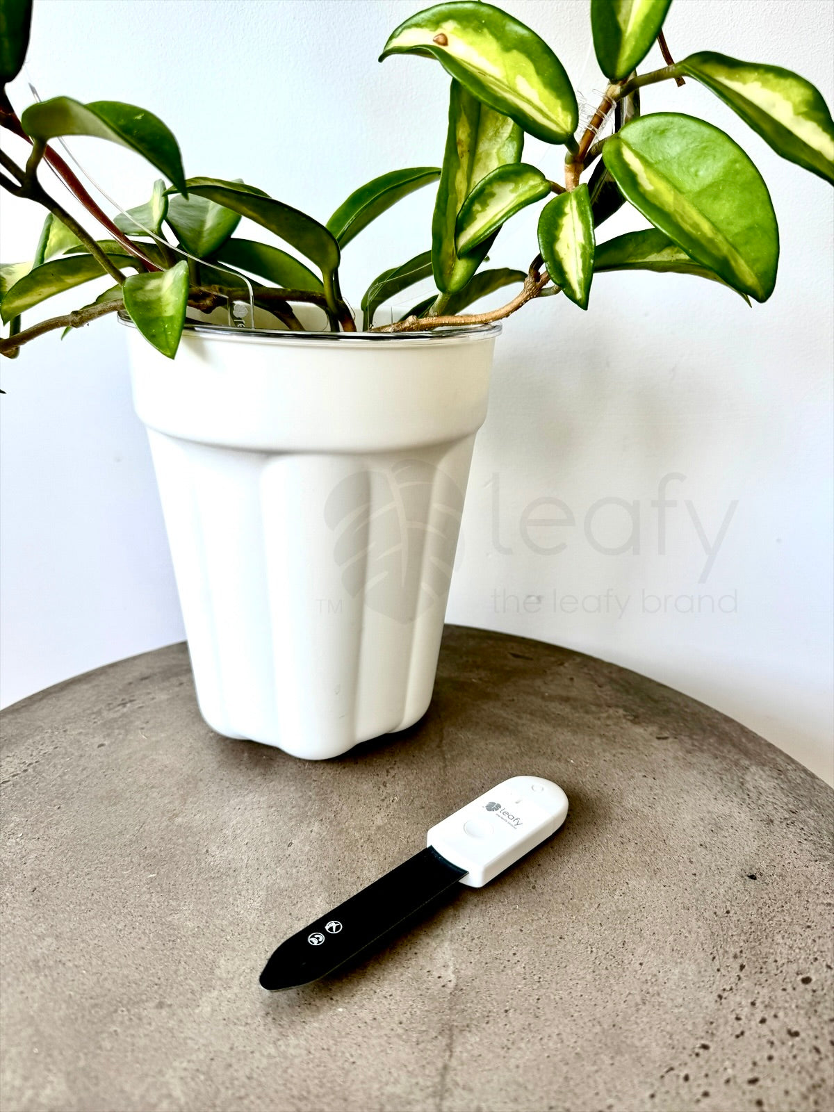 leafy™ Mini Soil Moisture Detector