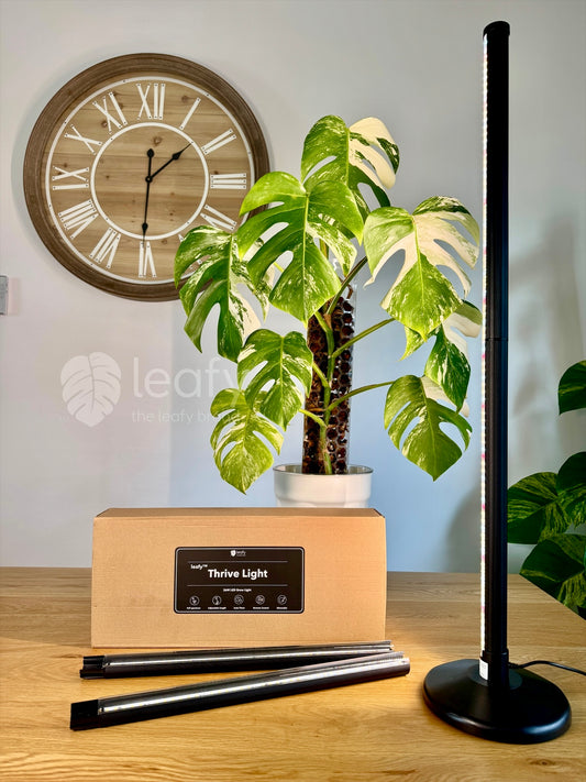 leafy™ Thrive Light