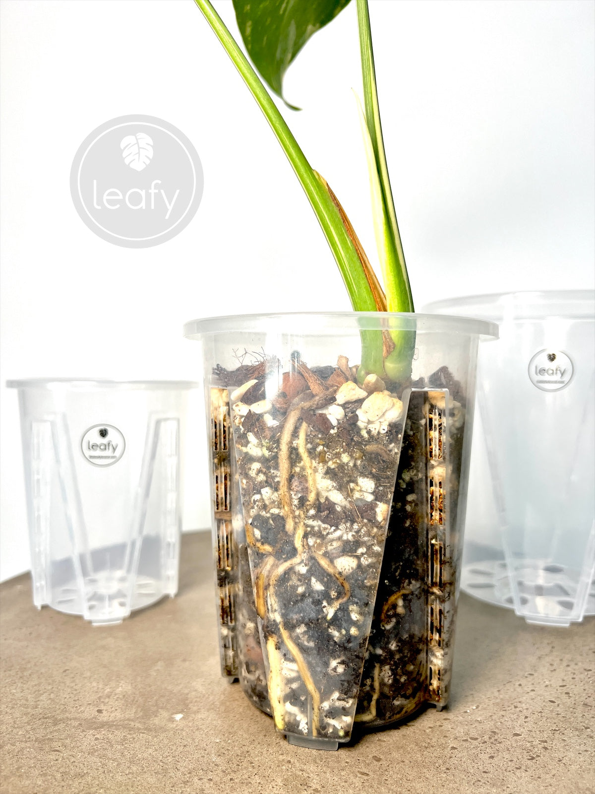 leafy™ Tall Ventilated clear pots