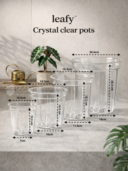 Leafy™ Crystal Clear Pot